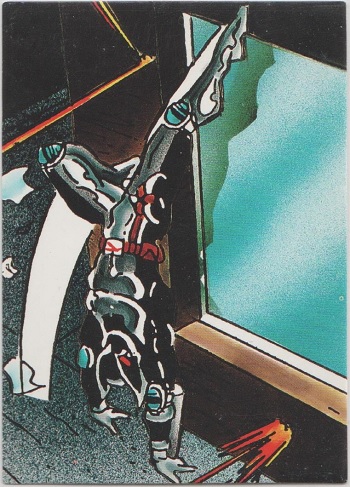 ShadowHawk Collector Card #39
